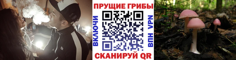 Псилоцибиновые грибы MAGIC MUSHROOMS  Купить закладки  Миллерово 